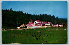 Postcard Carnation Milk Farms, Carnation, Washington F15 picture