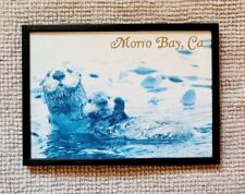 Morro Bay CA Otter Photo Refrigerator Magnet Travel Souvenir  picture