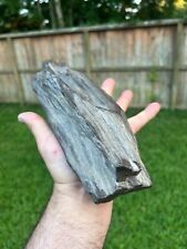 Texas Petrified Oak Wood Agatized Rotted Agatized Branch Beaumont Formation picture