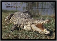 Postcard (Murray Views) - Saltwater Crocodile, Townsville, QLD picture