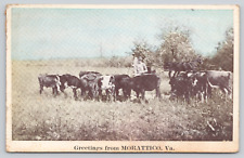 Postcard Greetings from Morattico, Va posted 1930 postmark A64 picture