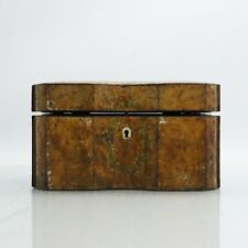 Antique Burl Wood Tea Caddy Late 18th / Early 19th Century hand painted picture