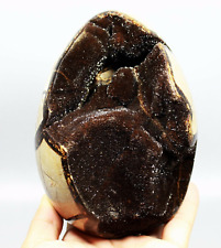 4.41lb NATURAL Septarian Dragon Crystal Egg Gem geode Mineral Specimen picture