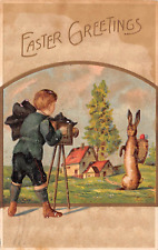 EASTER GREETINGS Young Boy Photographing Rabbit 1909 Embossed Postcard 9292 picture