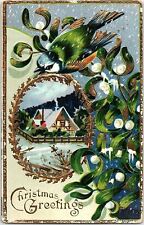 c1910 CHRISTMAS GREETINGS BIRD COTTAGE KENESAW NEBRASKA EMBOSSED POSTCARD 39-228 picture