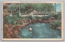State View~Natural Bridge Arch Creek Miami Florida~Vintage Postcard picture