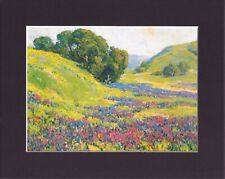 8X10 Matted Print Art Painting Picture: Benjamin Brown, Valley of Lupine picture