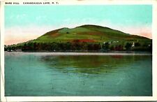 Canandaigua Lake New York Bare Hill New York 1920s WB Postcard UNP  picture
