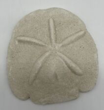 Faux Sand Dollar Wall Art 5.5” x 6” Natural Looking Molded Cement Handmade picture