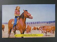 Saint George Utah UT Cowgirl Riding Horse Cattle Vintage Postcard 1950s picture