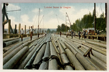 Lumber Scene in Oregon OR Vintage Postcard picture