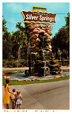 Vintage Entrance to World Famous  Florida Silver Springs  Postcard #550 picture