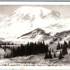 c1930s Mt. Rainier, Washington RPPC Blue Pacific Lupine Flowers PC Snow Fog A199 picture