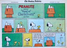 Peanuts by Charles Schulz - large half-page color Sunday comic - Oct. 19, 1969 picture