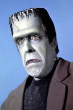 The Munsters Fred Gwynne as Herman classic expression 18x24 poster picture