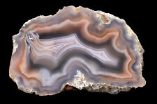 Laguna Agate From Mexico Collectors Grade Tight Banding and High Contrast picture