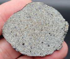 EL HASSAN OULD HAMED 002- 24.77 gram Meteorite Full Polished Slice w/ crust line picture