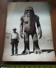 Antique Egyptian Photograph 