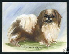 PEKINGESE Dog Breeds - Six Collectors Card Set - Crufts Kennel Club Toy Group picture