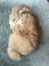 Life Like Bunny Rabbit with Real Fur Super Soft Rare  7.5” Long 4” Wide picture