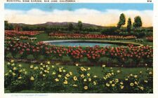 Postcard CA San Jose California Municipal Rose Garden Linen Vintage PC G101 picture