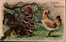 Real Feathers 1907 Easter Greetings Postcard 1c stamp Vintage Post Card picture