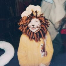 Vintage Polaroid Photo Adorable Child Lion Halloween Costume Found Art Snapshot picture