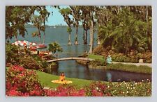 Roses and Bougainvillea Cypress Gardens Florida VINTAGE POSTCARD 1519 picture