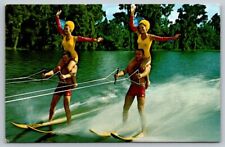 Florida  Cypress Gardens  Water Ski Show   Postcard picture