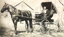 Antique Vtg RPPC Horse Drawn Buggy Carriage Edwardian Man Bow Tie Suit #76 picture