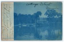 1908 Cottage Lake View Cyanotype Detroit Minnesota MN RPPC Photo Postcard picture