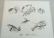 VTG 1978 Spaulding & Rogers Don Nolan Tattoo Flash Sheet #117N Lobster Crab Fish picture