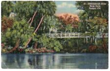 HILLSBOROUGH RIVER STATE PARK Tampa FL ~ Vintage Linen Postcard ~  picture