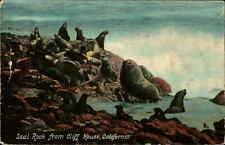 Postcard: Seal Rock from Cliff House, California picture
