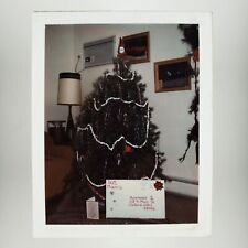 Oxford Ohio Christmas Tree Photo 1990s Miami University Color Snapshot H807 picture