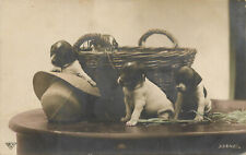 Hand Colored RPPC Three Tiny Puppy Dogs in Hat on a Table and in Basket 32642 picture