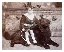 CUTE LITTLE GIRL SITTING ON HER NEWFOUNDLAND DOG 8X10 PHOTO picture