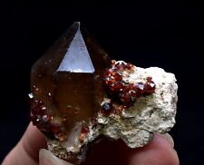 24g Natural Smoky crystal Spessartine-Garnet Rare Mineral Specimens China picture