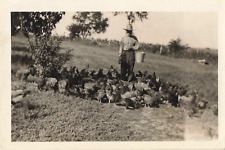 Photograph Eagleville MO 1919 Thomas Harrold and his Chickens Man Hat Pail P124 picture