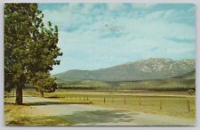 San Jacinto California, Palms to Pines Highway, Mountains, Vintage Postcard picture