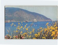 Postcard Yalta Gurzuf Gora Ayu-Dag Europe picture