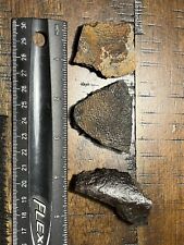 3x Excellent Sections Turtle Shell Dinosaur Age Fossil Hell Creek Formation SD picture