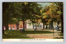 Mt Morris, IL-Illinois, A Corner In Wesley Park Antique c1909, Vintage Postcard picture