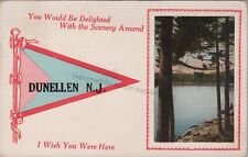Dunellen, NJ: 1915 Pennant w/ Woods View - Vtg Middlesex Co New Jersey Postcard picture