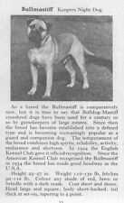 Bullmastiff - 1970 Vintage Dog Art Photo Print - Matted GIFT picture