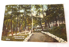 Williamsport Pennsylvania  Sylvan Dell  Park VTG Posted 1911 Posted picture