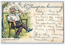 1907 Old Man Mosquito Sucker Write Away Waterville Maine ME Antique Postcard picture