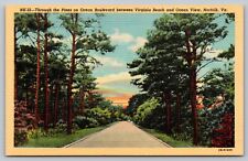Virginia Beach VA - Ocean Boulevard - Pine Trees - 1943 picture
