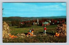 Peacham VT-Vermont, Pumpkins and Corn Stalks in Fall, Vintage Souvenir Postcard picture