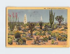 Postcard A Few Varieties of Desert Cacti California USA North America picture